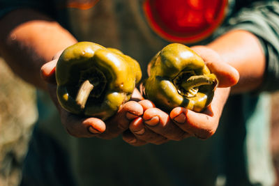 Midsection of person holding green bell peppers