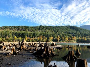 Scenic view of lake against sky