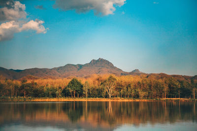 Scenic view of lake by trees against sky