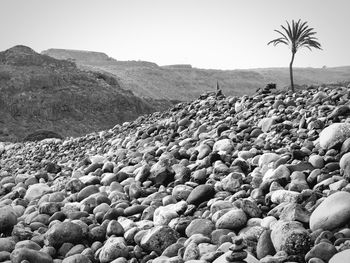 Pebbles on beach against clear sky