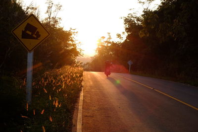 Road sign against trees