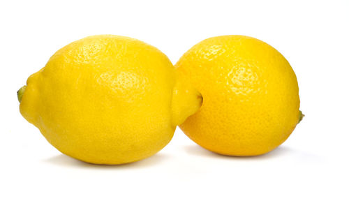 Close-up of oranges against white background