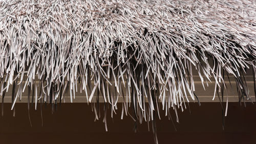 thatched roof