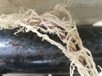 Close-up of icicles hanging on rope