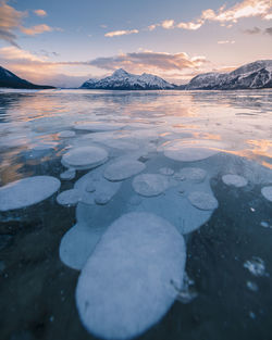 Methane bubble abraham lake, alberta