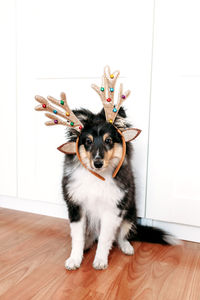 Portrait of dog standing on hardwood floor