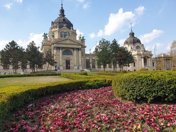 View of flowering plants in front of building