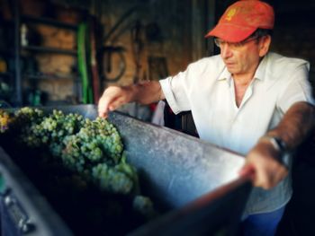 Man looking at grapes in container