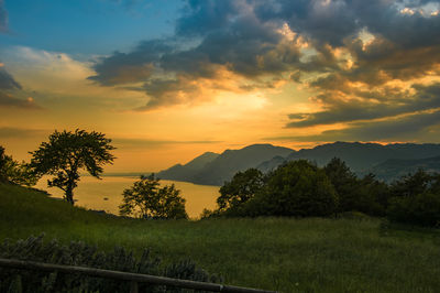 Scenic view of field against sky during sunset