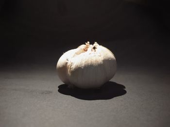 Close-up of eggs on table against black background