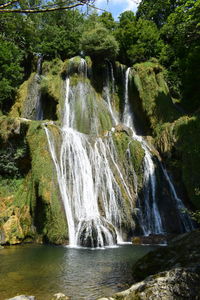 Scenic view of waterfall in forest