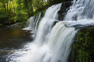 View of waterfall in forest