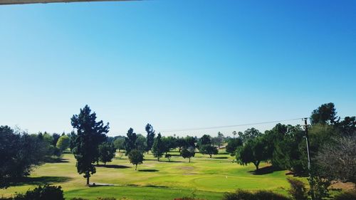 Scenic view of grassy field against blue sky