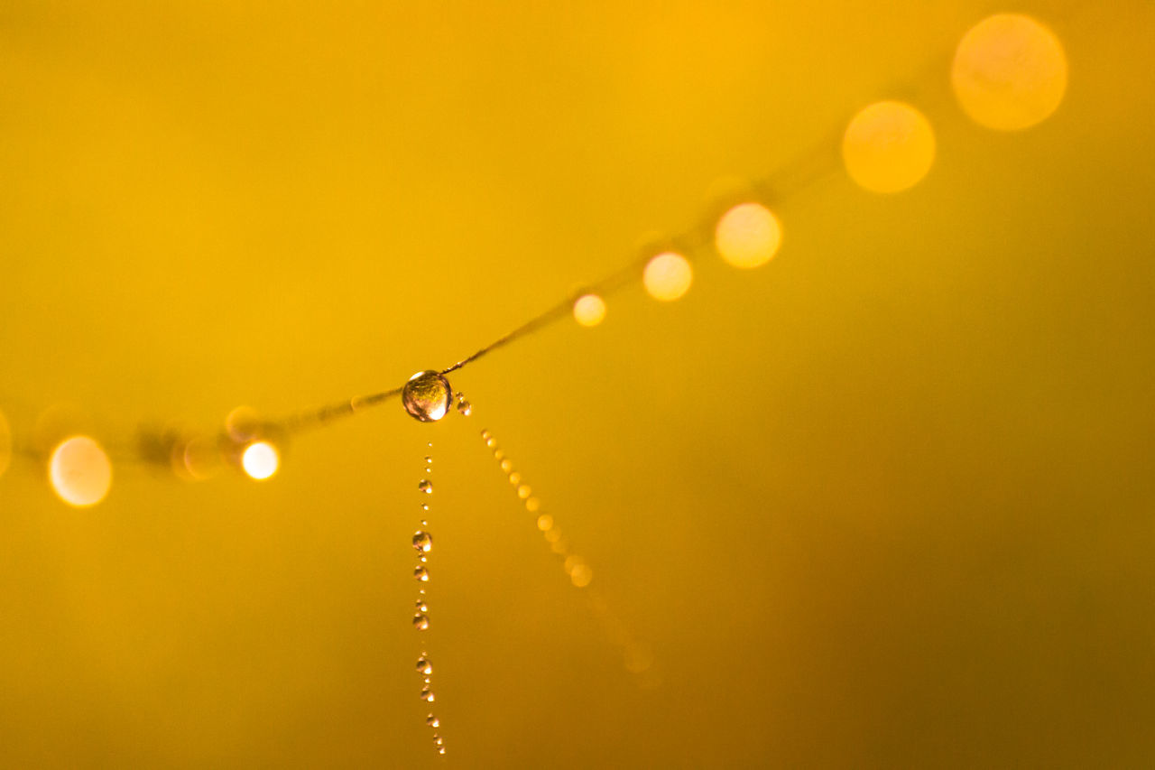 drop, water, fragility, spider web, close-up, nature, beauty in nature, focus on foreground, wet, dew, clear sky, no people, copy space, outdoors, natural pattern, tranquility, lens flare, selective focus, raindrop, purity