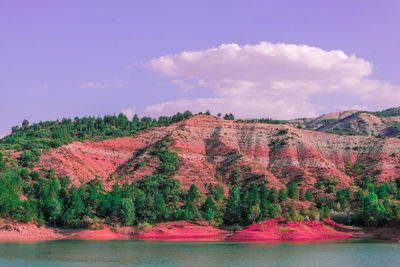 Scenic view of lake by trees against sky