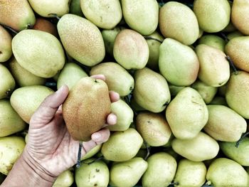 Full frame shot of hand holding fruit