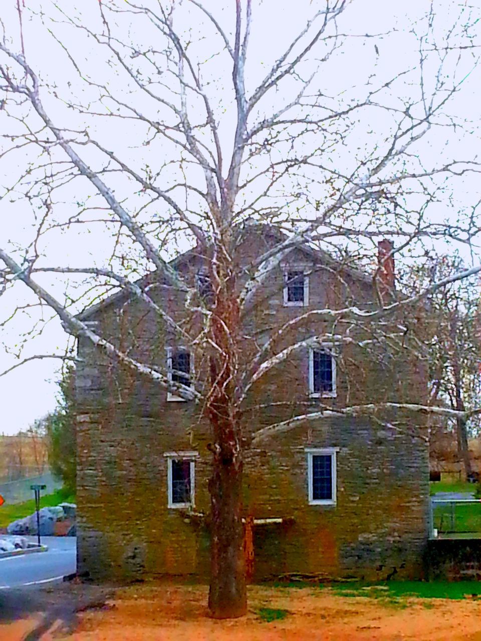 building exterior, architecture, built structure, tree, branch, bare tree, house, residential structure, window, residential building, sky, clear sky, day, outdoors, growth, no people, building, sunlight, city, nature