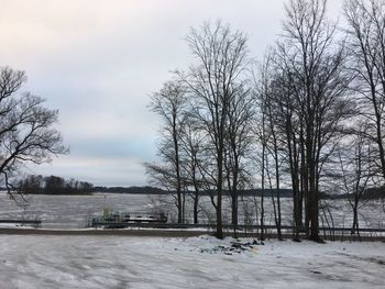 Trees on snow covered field against sky