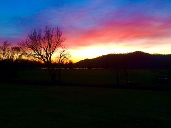 Silhouette of trees on landscape at sunset