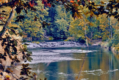 Scenic view of lake in forest during autumn