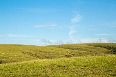 Scenic view of landscape against sky