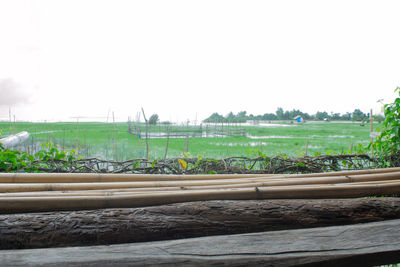 Scenic view of field against clear sky