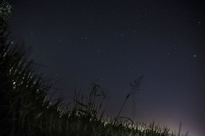 Scenic view of grass against sky at night
