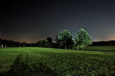 Trees on field at night