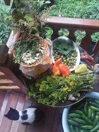 High angle view of vegetables in container