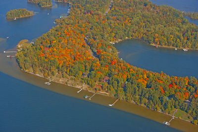 High angle view of trees by sea during autumn