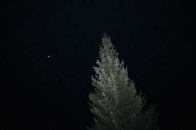 Low angle view of illuminated tree against sky at night