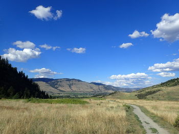 Scenic view of grassy landscape and mountains against blue sky
