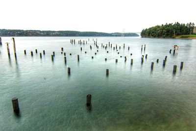 Wooden posts in sea against clear sky