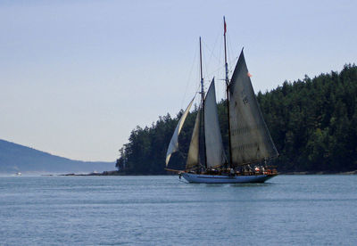 Sailboat sailing on sea against clear sky