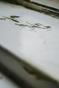 Close-up of wet wood