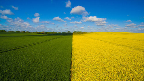 Scenic view of field against cloudy sky