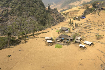 High angle view of vehicles on road along trees