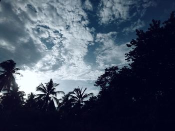 Low angle view of silhouette trees against sky