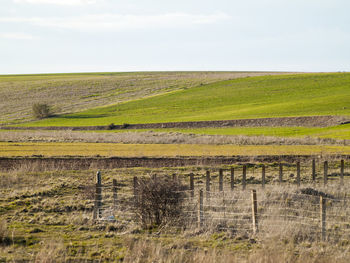 Scenic view of field against sky