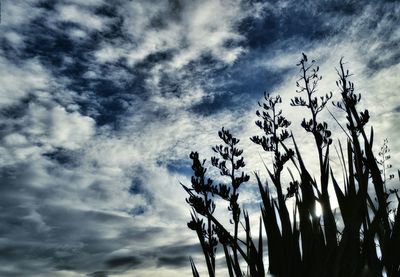 Low angle view of tree against cloudy sky