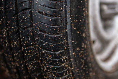 Close-up of wet tire track