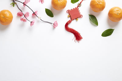 High angle view of fruits and leaves on white background