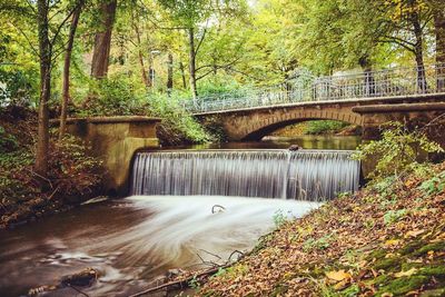 Bridge over river amidst trees in forest