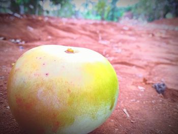 Close-up of apple on table