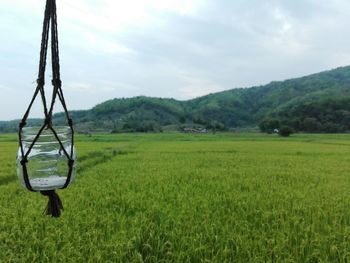 Green landscape against sky