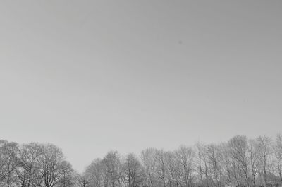 Low angle view of trees against sky