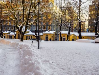 Snow covered trees in city