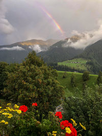 Scenic view of rainbow over mountain against sky