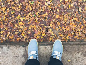 Low section of person standing on footpath by autumn leaves on street