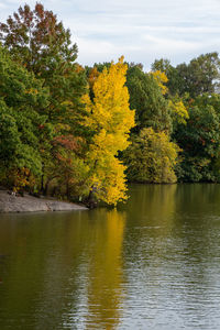 Scenic view of lake by trees during autumn